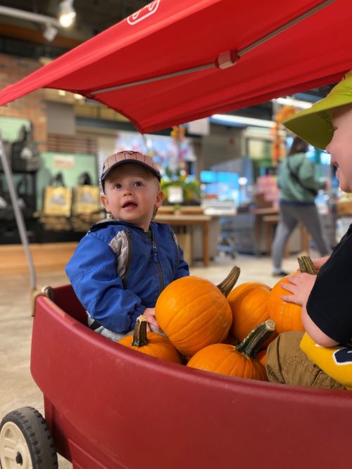 Small boy wearing a blue jacket, sitting in a wagon holding pumpkins at the grocery store.