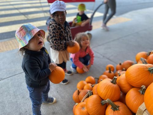 Children in front of pumpkins outside grocery store.