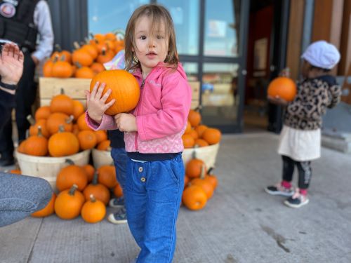A little girl in pink top and blue pants holding a pumpkin in front a grocery store pumpkin setup.
