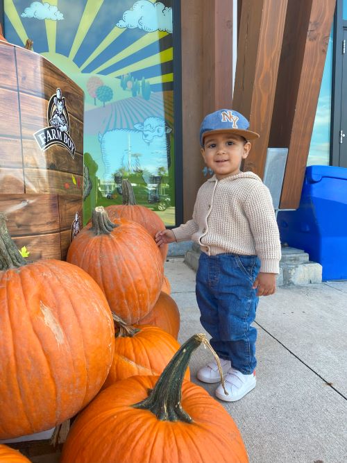 Small boy standing beside pumpkins.
