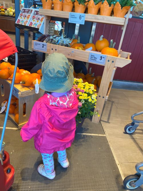Child in front of Farm Boy grocery store looking at pumpkins, pictured from back.