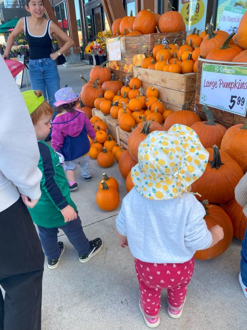 Children looking at pumpkins outside of a grocery store.