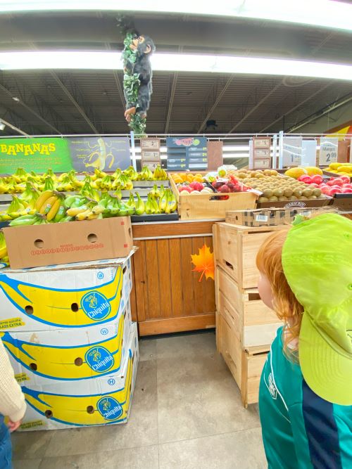Child standing in a grocery store looking at monkey stuffy hanging from the ceiling.