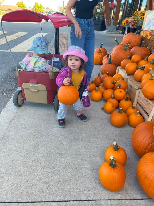 A little girl in pink holding a small pumpkin outside of the grocery store with many pumpkins.