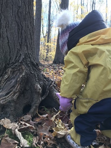 Child in a yellow jacket looking down at fallen leaves in forest.