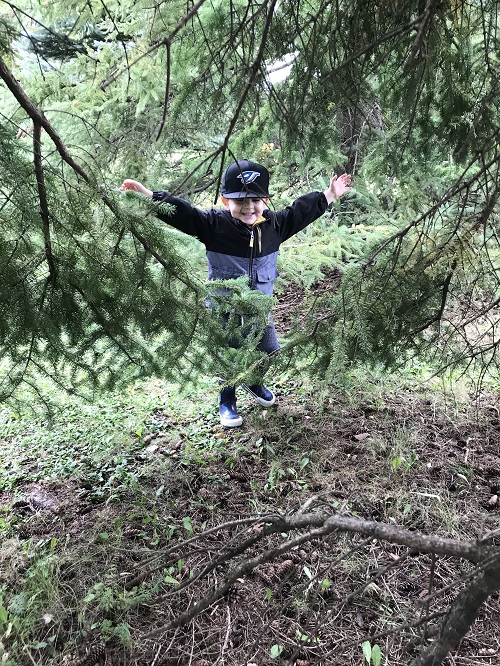 Child in baseball cap and jacket stepping happily among evergreen tree branches arms outstretched.