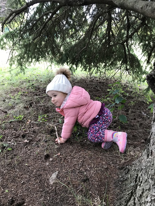 Child in pink jacket rawling under a pine tree on the forest floor.