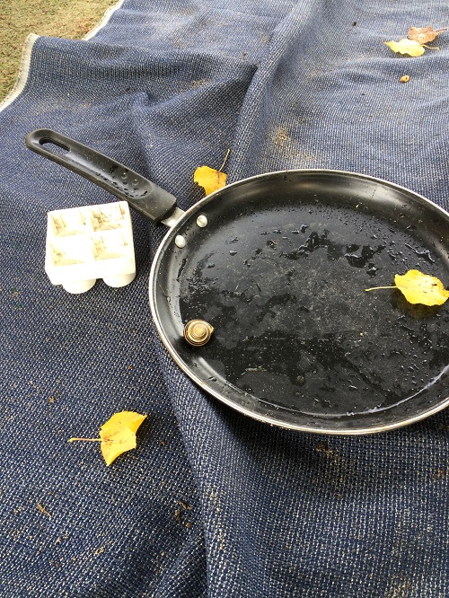 Close-up of rying pan on blanket, filled with water, yellow leaves, and snail beside white ice tray.
