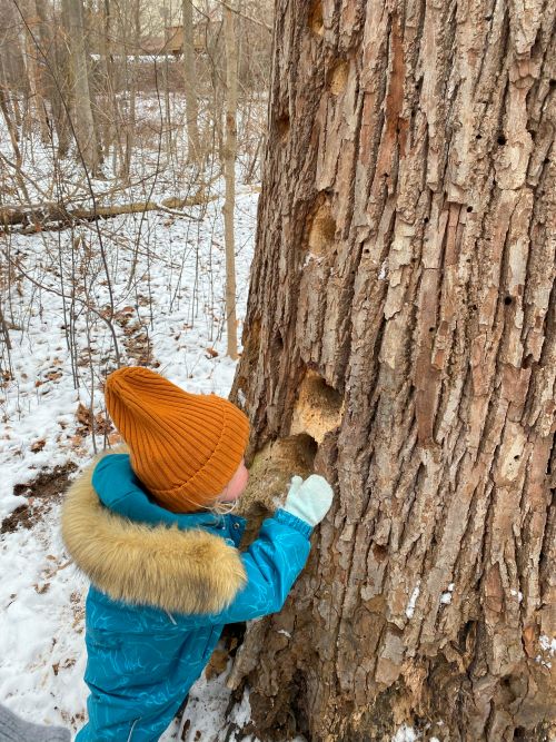 Child beside a big tree trunk in snowy forest.