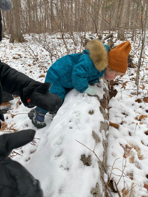 Child playing on a fallen tree in a snowy forest.