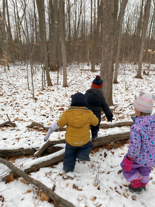 Children walking and exploring snowy forest, view from behind.