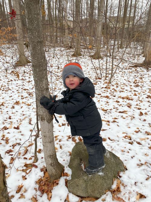 A small boy in a snowy forest is standing on a rock, touching a thin tree.